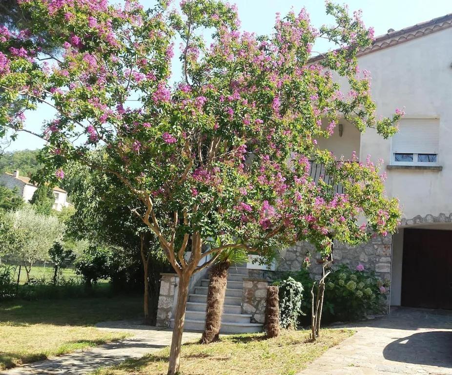 Apartment Havre De Paix Entre Et Montagne A Pour 4 A 5 Pers *